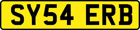 SY54ERB