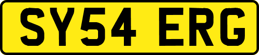 SY54ERG