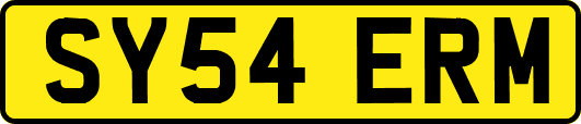 SY54ERM