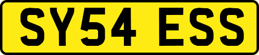 SY54ESS