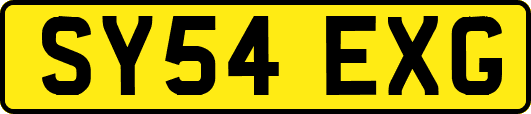 SY54EXG