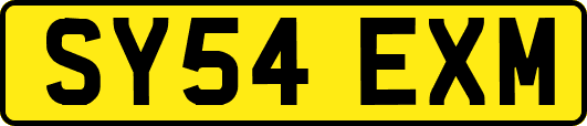 SY54EXM