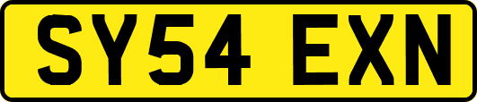 SY54EXN