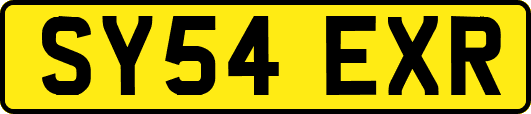 SY54EXR