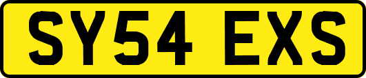 SY54EXS