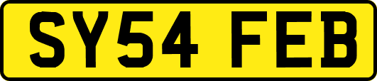 SY54FEB