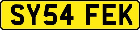 SY54FEK
