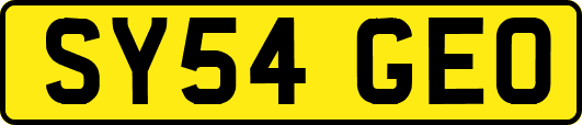 SY54GEO