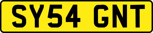 SY54GNT
