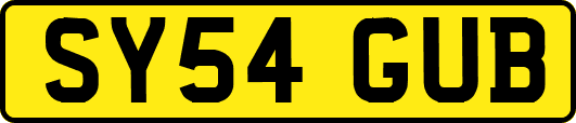 SY54GUB