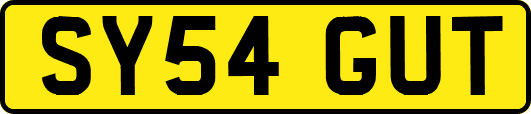 SY54GUT