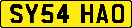 SY54HAO