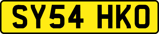 SY54HKO