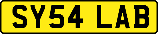 SY54LAB