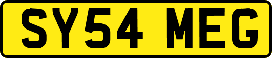 SY54MEG