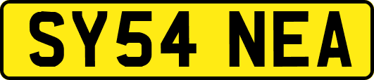 SY54NEA