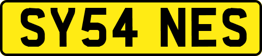 SY54NES