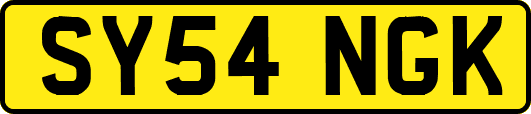 SY54NGK
