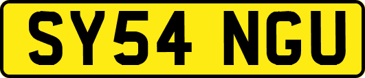 SY54NGU