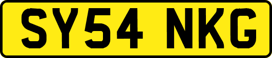 SY54NKG