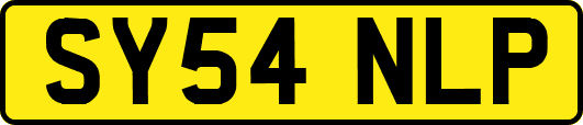SY54NLP