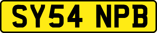 SY54NPB