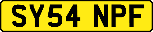 SY54NPF