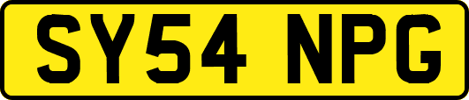 SY54NPG