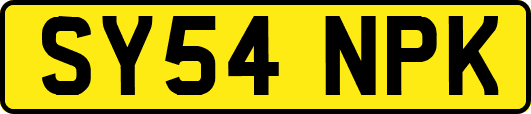 SY54NPK