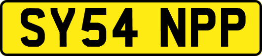 SY54NPP