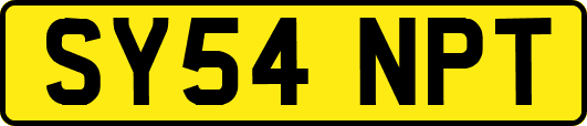 SY54NPT
