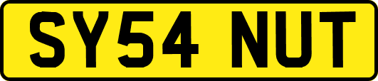 SY54NUT