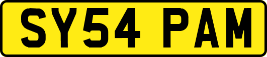 SY54PAM