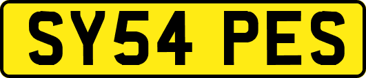 SY54PES