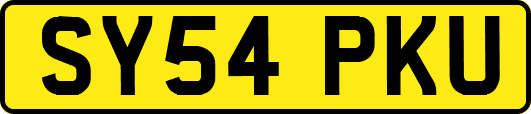 SY54PKU