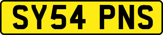 SY54PNS