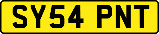 SY54PNT