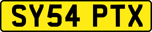 SY54PTX
