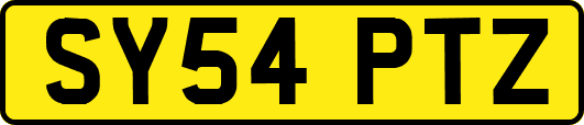 SY54PTZ