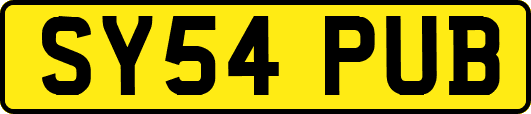 SY54PUB