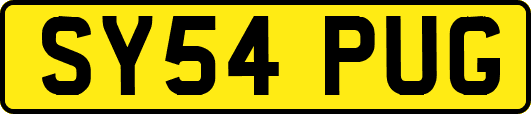 SY54PUG