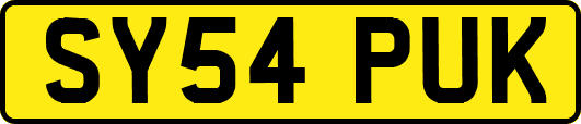 SY54PUK