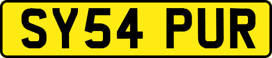 SY54PUR