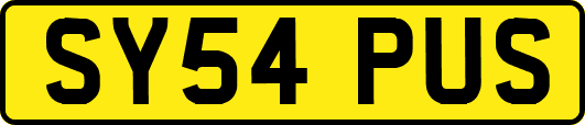 SY54PUS