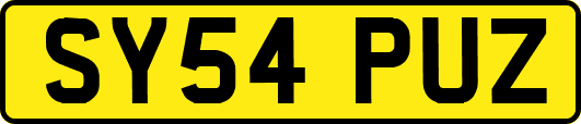 SY54PUZ