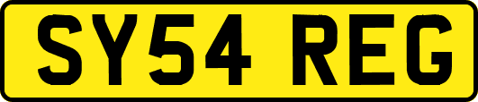 SY54REG