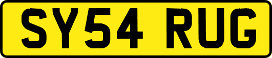 SY54RUG