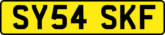 SY54SKF