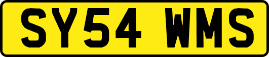 SY54WMS