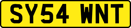 SY54WNT